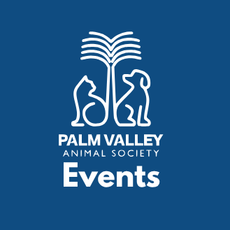 C.A.R.E. Camp - logo